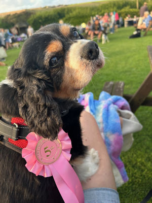 Hendricks - 5th Trvone Dog Show-2024_07_01.jpg